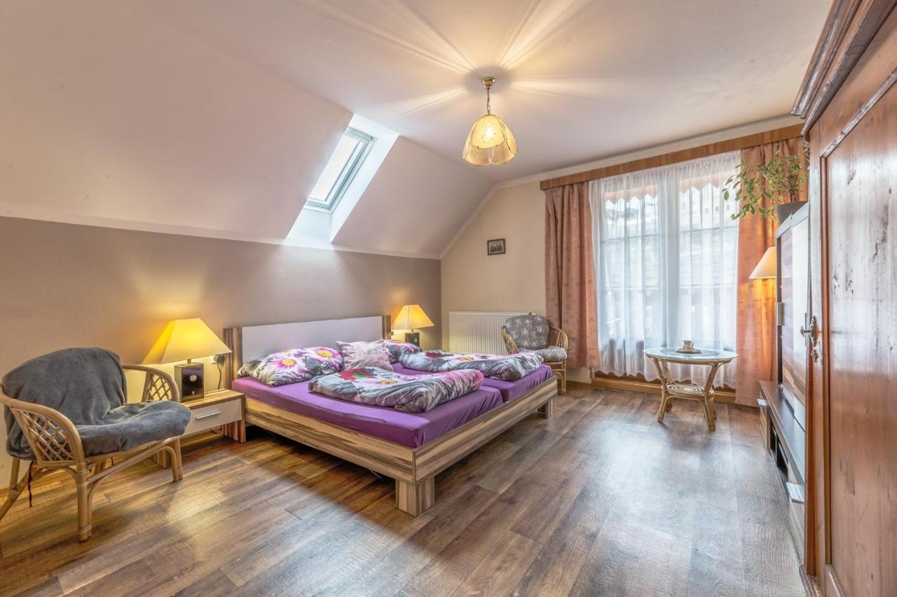 Penzion Na Hradcanech Nove Mesto nad Metuji Luaran gambar